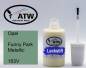 Preview: Opel, Funny Park Metallic, 163V: 20ml Lackstift, von ATW Autoteile West.